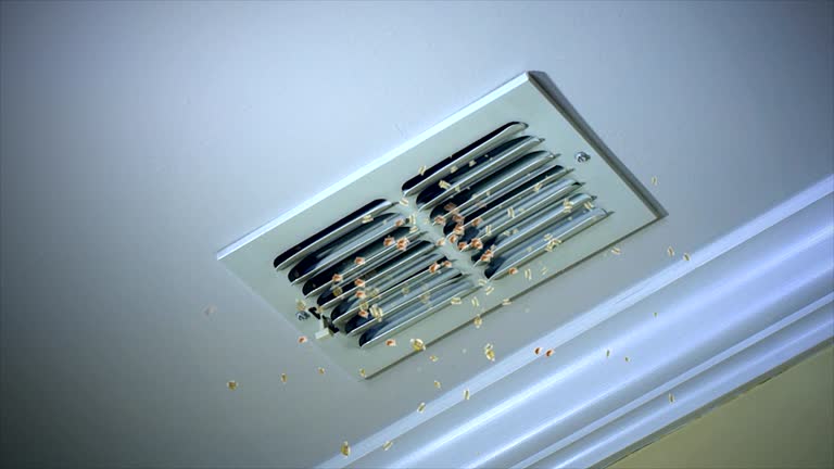 Best Air Vent Cleaning Services  in Ogallala, NE